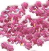 10 6mm Fuchsia Swarovski Flowers Sideways